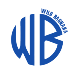 Club icon