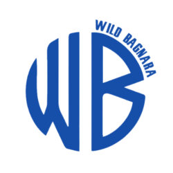 Club icon