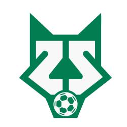Club icon