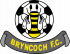 Bryncoch FC