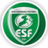 Elan Sorinières Football