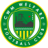 Cwm Welfare FC