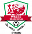 Wales Walking Football