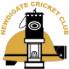 Newdigate Cricket Club