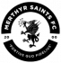Merthyr Saints